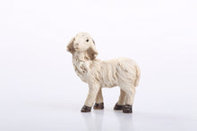 A little lamb, part of the 15-piece Nativity set with hand-painted Holy Family, barn animals, shepherds, and other traditional Nativity Scene figures.